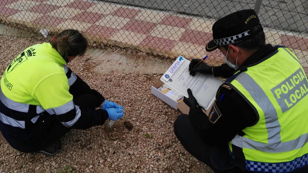 La Policía Local toma muestras de los excrementos de perros en la vía publica