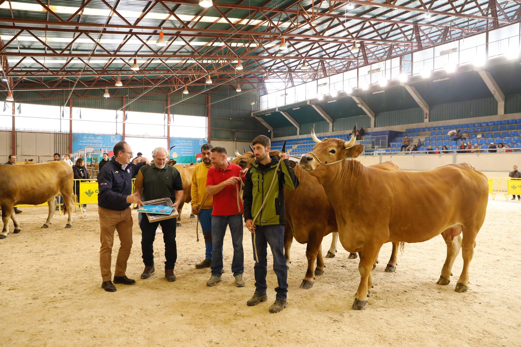 El gran cierre de La Ascensión: así fue la última jornada festiva en la feria del campo en Oviedo