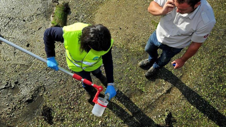 Augas de Galicia investiga el segundo vertido en una semana en el río de O Con