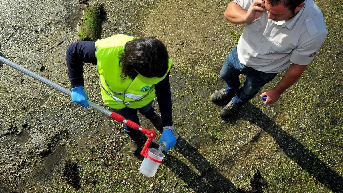 Una técnico de Aguas de Galicia recoge muestras en Arousa.