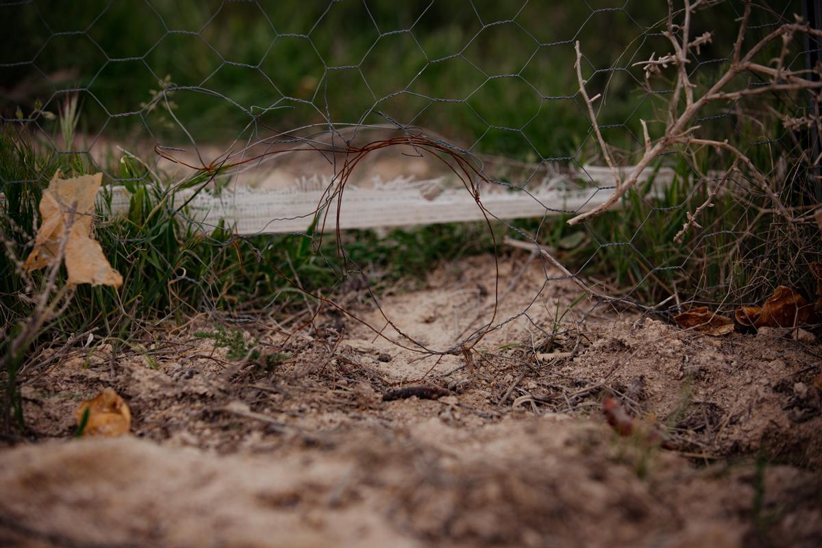 Un agujero hecho por los conejos en una valla de un cultivo de esta zona de Ciudad Real. 