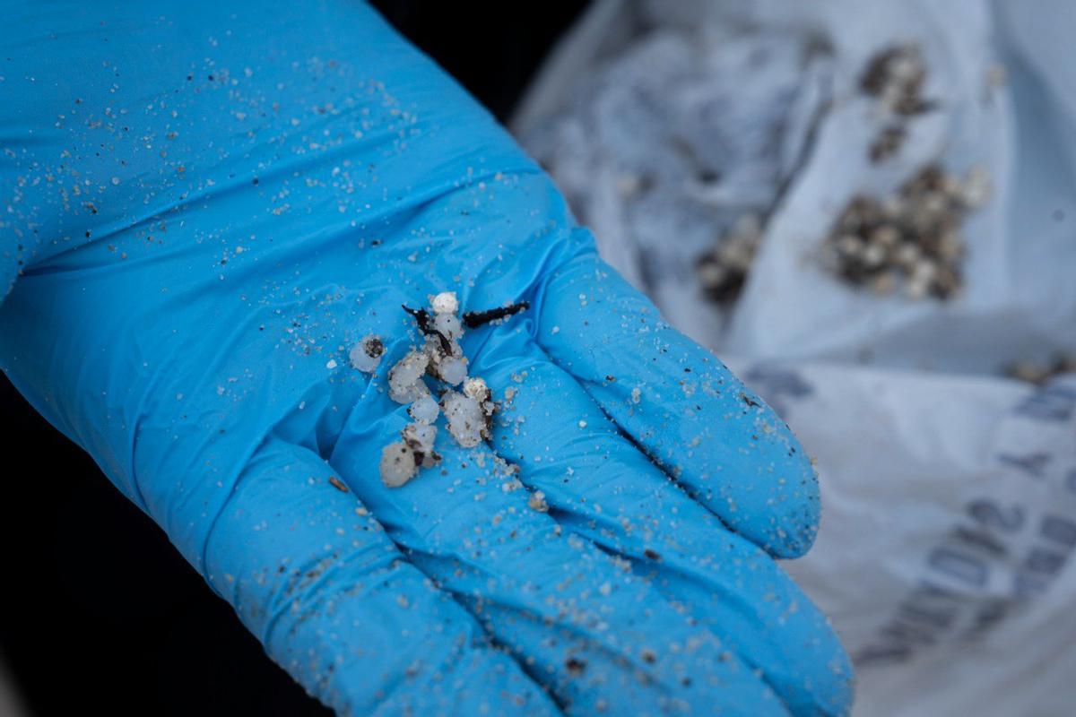 Un ejemplo de los pélets que llegaron a las playas de Galicia, concretamente al arenal vigués de Samil.