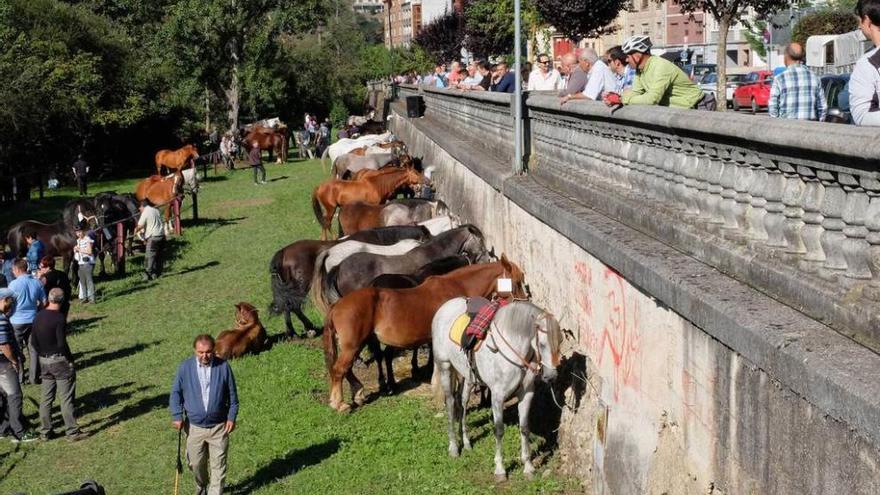 Orgullo rural en San Martín del Rey Aurelio