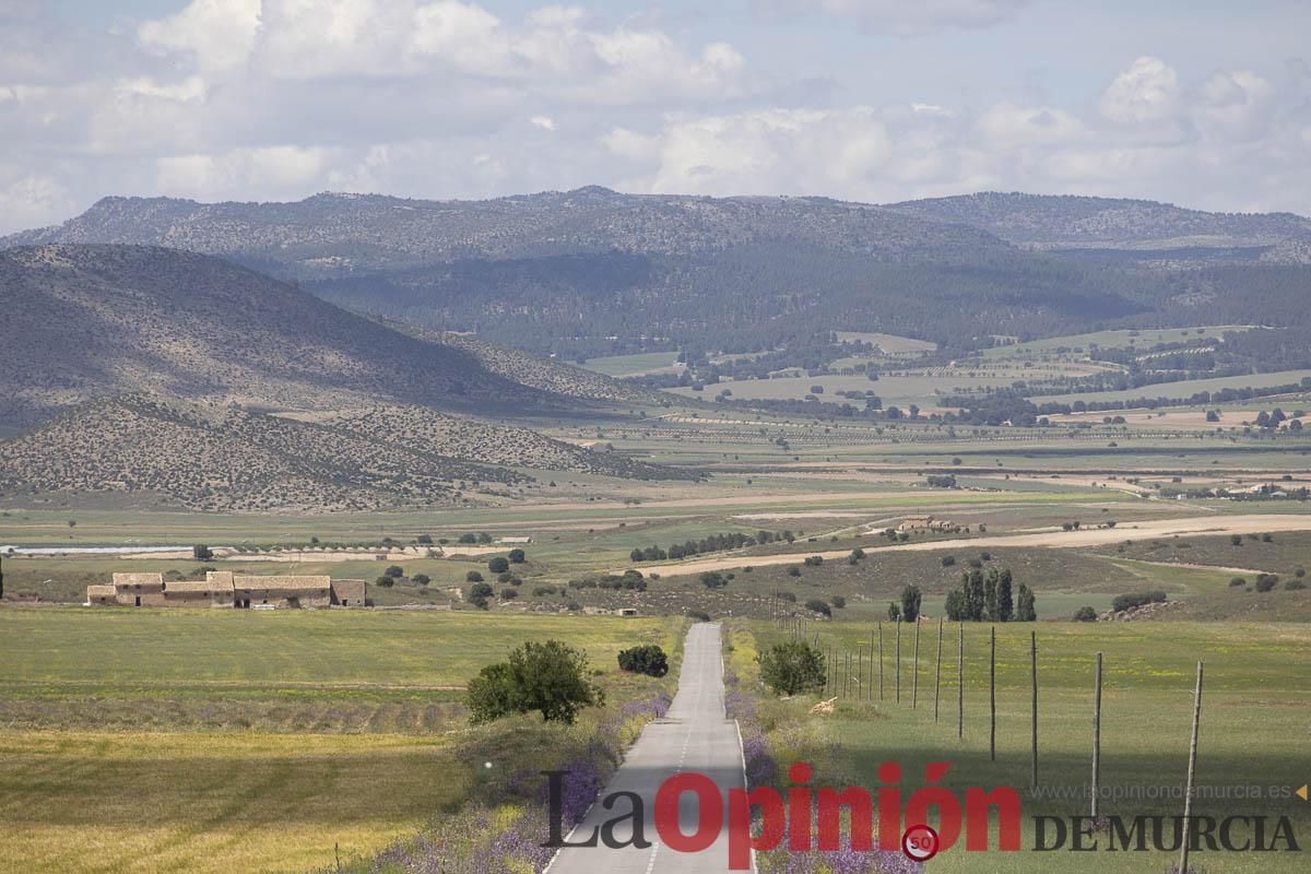 Romería de San Isidro en los Poyos de Celda de Caravaca