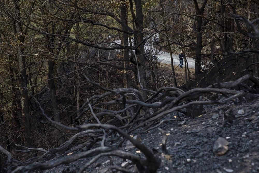 Desolación en el suroccidente asturiano tras los incendios