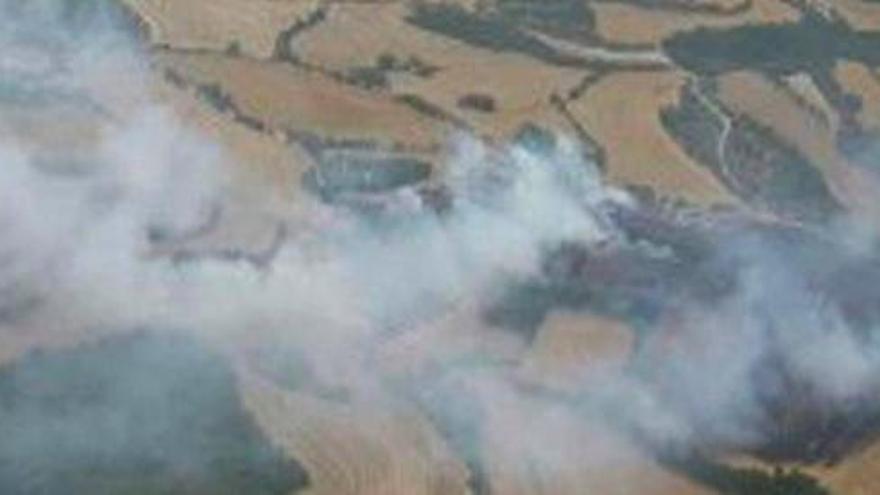 Un incendi de vegetació a Calonge de Segarra obliga a tallar la C-1412