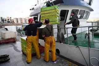 La flota se agarra al respaldo europeo para bajar el IVA al pescado: “Es la gran oportunidad”