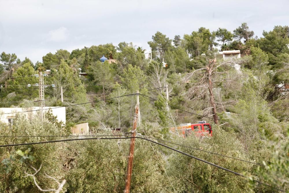 El viento entró por ses Variades y se cebó sobre todo en las zonas de Cala Gració y Can Coix hasta disiparse ya cerca de Santa Agnès