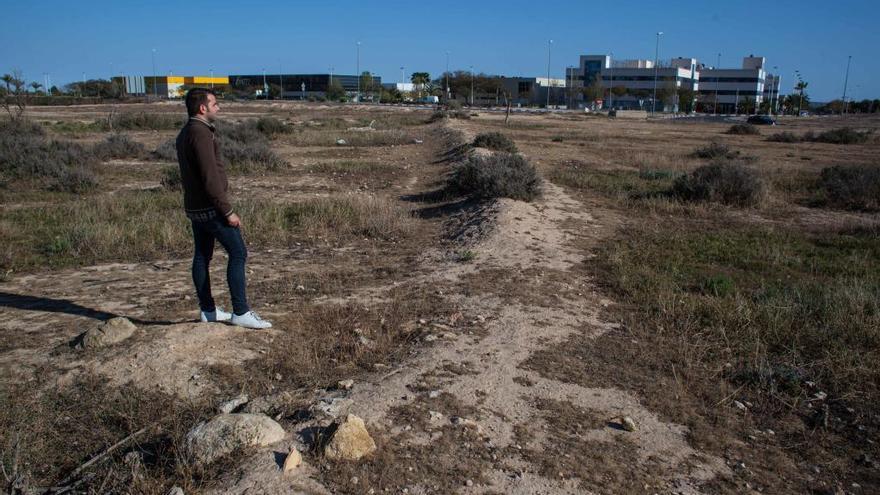 Vistas generales de la zona donde está proyectada la ampliación de Elche Parque Empresarial, junto a la Vía Parque, en la que se ganarán más de 500.000 metros cuadrados, para levantar un centro logístico, edificios de uso industrial y oficinas.