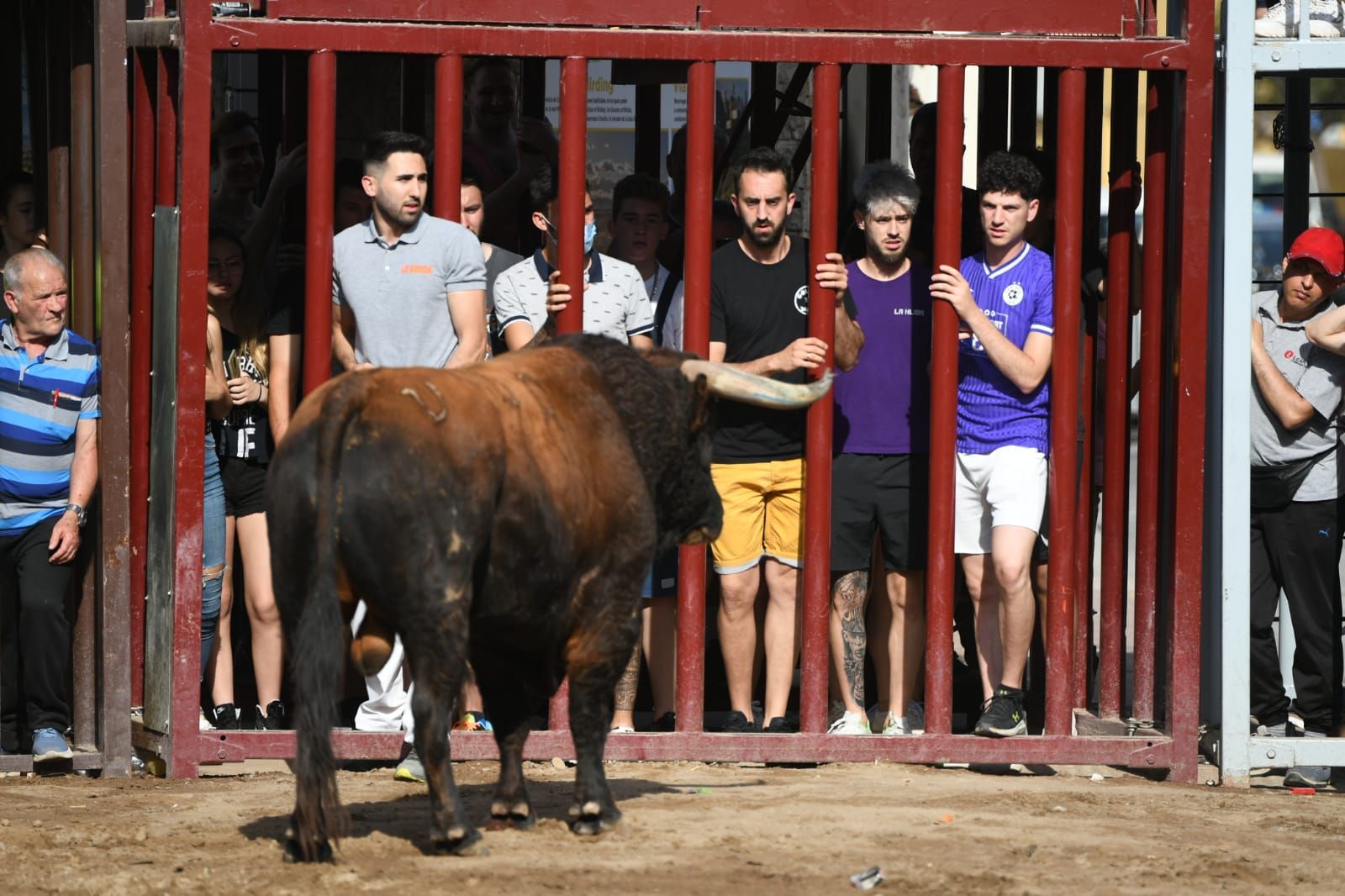 Lo mejor del lunes taurino de las fiestas de Almassora 2022