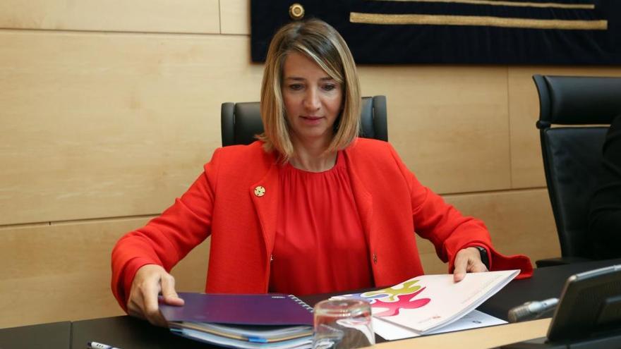 La consejera de Familia, Alicia García, comparece ante la Comisión de Economía.