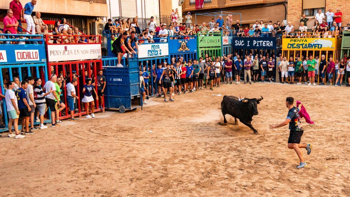 La medida, excepcional e inédita, busca garantizar el normal desarrollo de las fiestas tras la renuncia de la empresa contratada por las peñas.