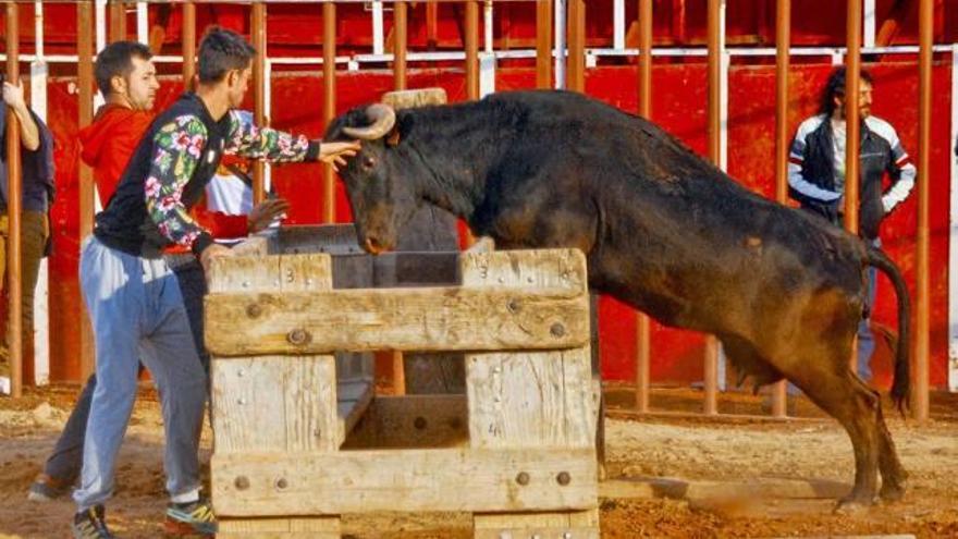 Betxí abre las  &#039;fiestas de la convivencia&#039;