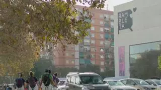"El ser humano es solidario, pero el ruido político y social nos embrutece"