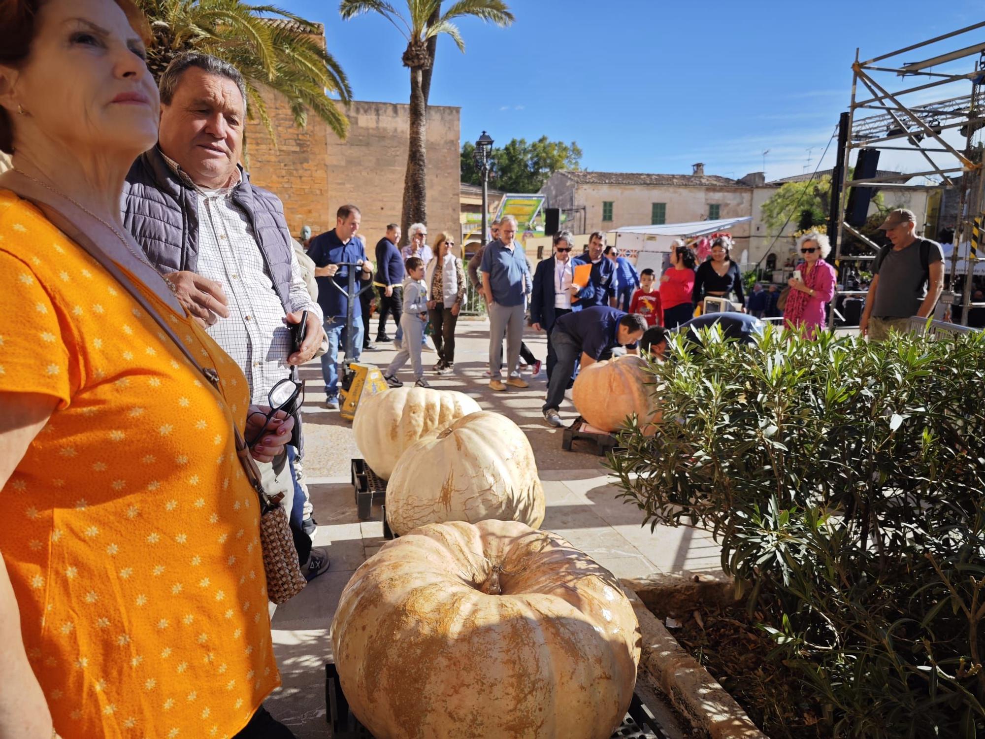 Ferias de otoño | La Fira de la Carabassa de Muro, en imágenes