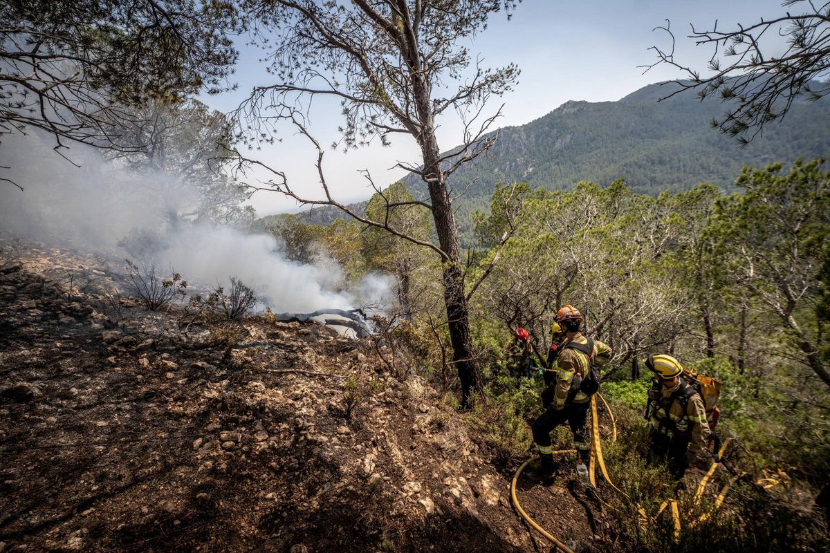 Dentro del incendio en Baix Ebre: los bomberos trabajan a contra reloj en el incendio forestal en Paüls