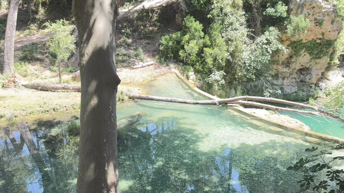 Un hombre resulta herido al caerle un árbol encima en una zona de baño de La Pobla de Benifassà