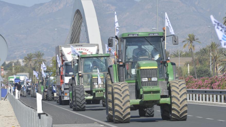 ¿Cuarenta mil agricultores en la avenida de Maisonnave de Alicante?