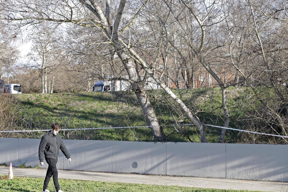 Un arbre caigut per un temporal de vent