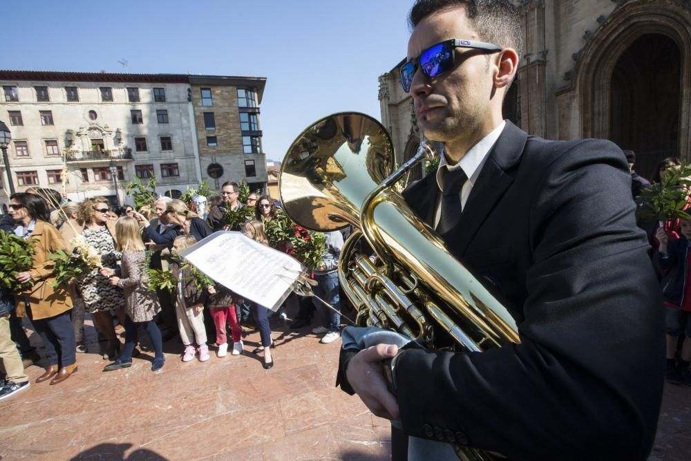 Bendición de ramos en la plaza de la Catedral