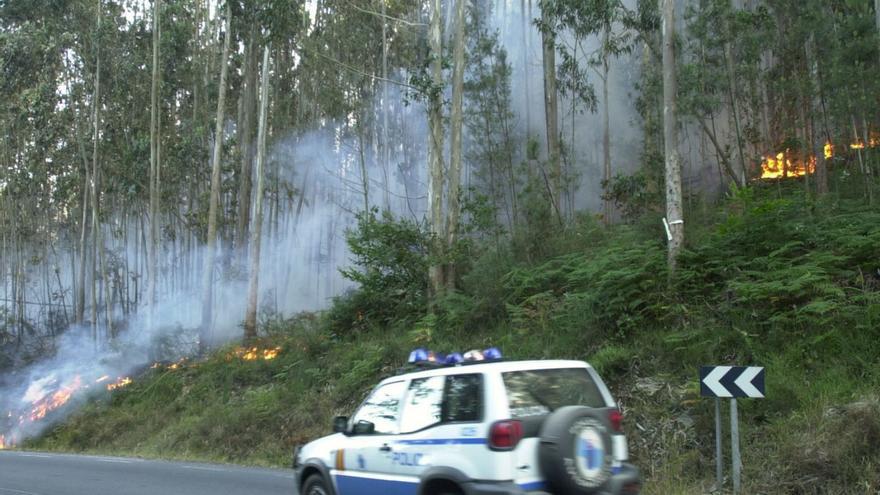 La impunidad de los incendiarios: solo el 1% de los fuegos intencionados son esclarecidos