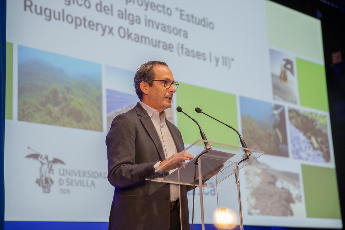 Jorge Juan Jiménez Luna, Delegado Regional Sur de Red Eléctrica.