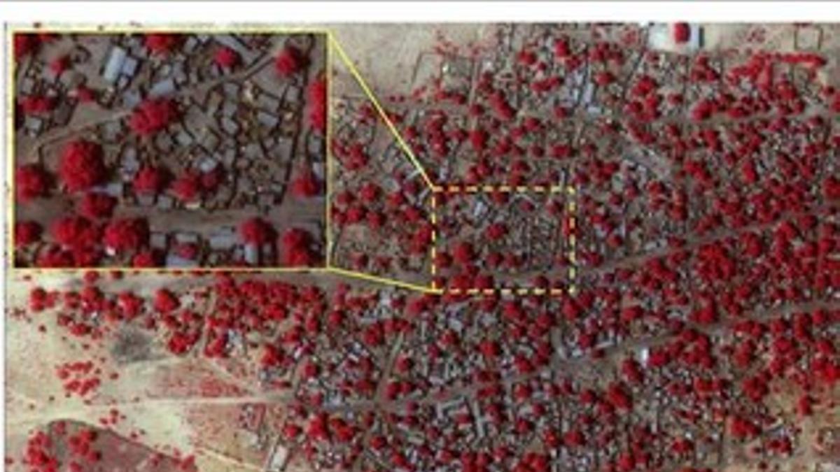 Combo de fotografías por satélite de DigitalGlobal de antes y después del ataque a Baga. Las zonas rojas muestran la vegetación sana.