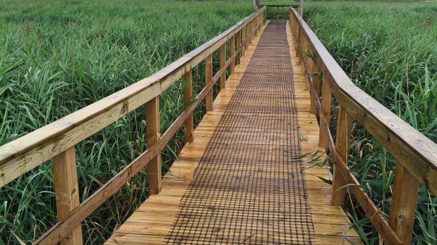 La seguridad que ya da el pasear por la nueva senda de madera de las Torres de Oeste en Catoira
