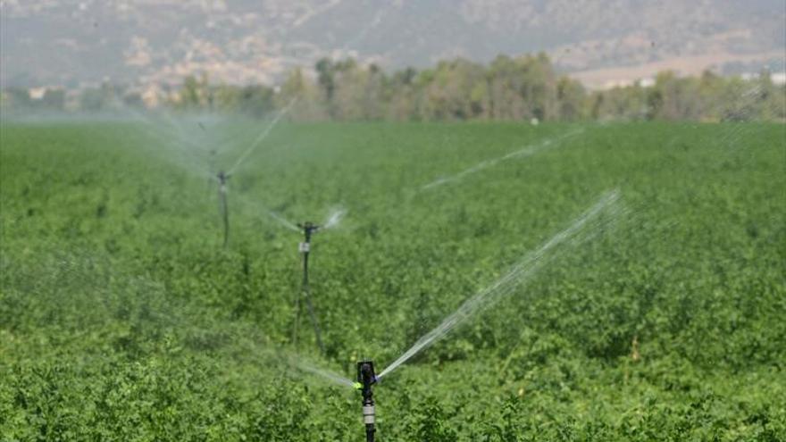 Feragua dice que hay que regularizar regadío antes de ampliar superficie