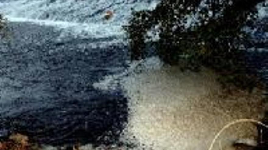 Los análisis concluyen que las algas causan la espuma del río