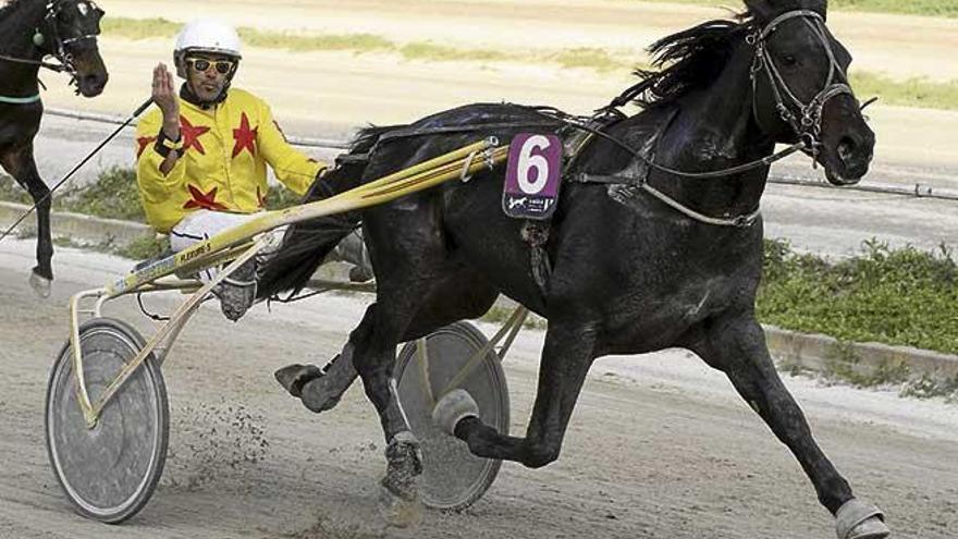 Toni Valls celebra su victoria a las riendas de Black Power.