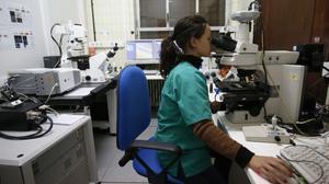 El videoapunt de Josep-Maria Ureta: ’Hi ha dades que curen’.