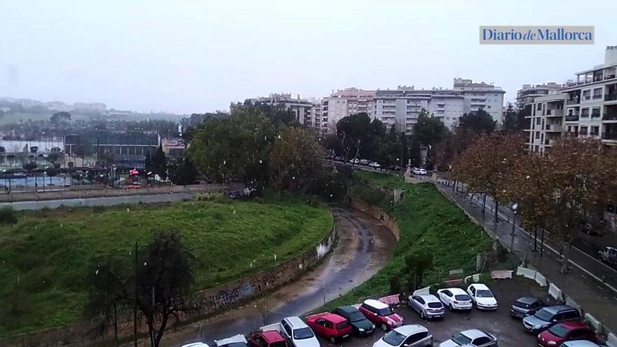 Schnee auf Mallorca: weiße Flocken auch in Palma