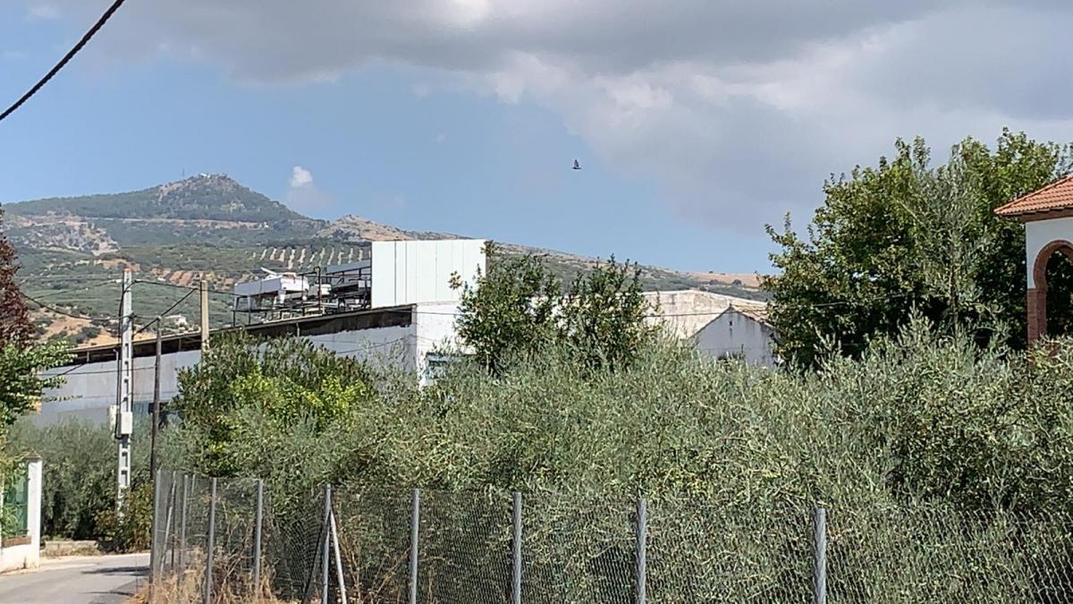 Muere un trabajador al sufrir una caída desde el tejado de una fábrica en Cabra