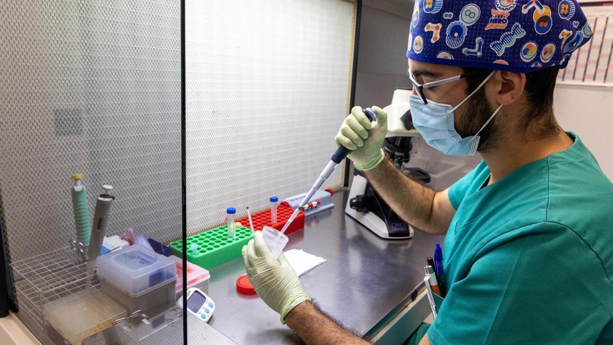 Muestras de semen en la unidad central de Vistahermosa del Grupo UR Internacional.