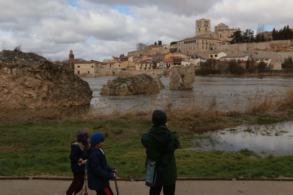 Temporal en Zamora.