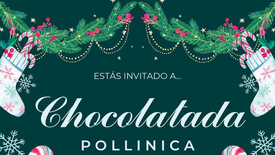 Navidad Pollinica