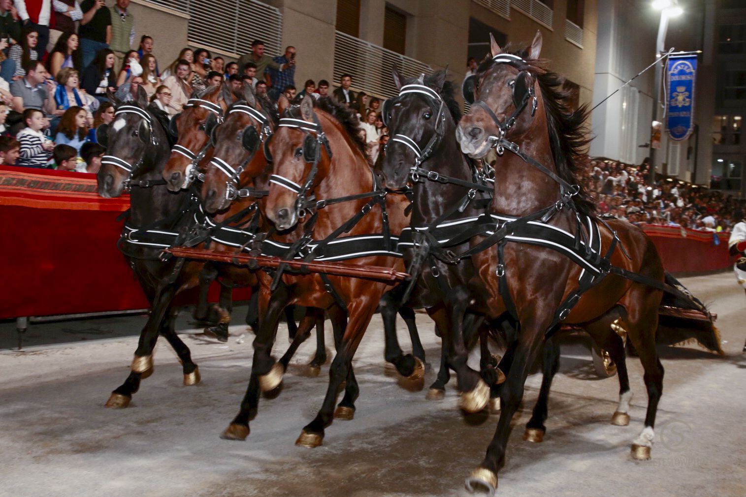 Procesión Viernes de Dolores en Lorca