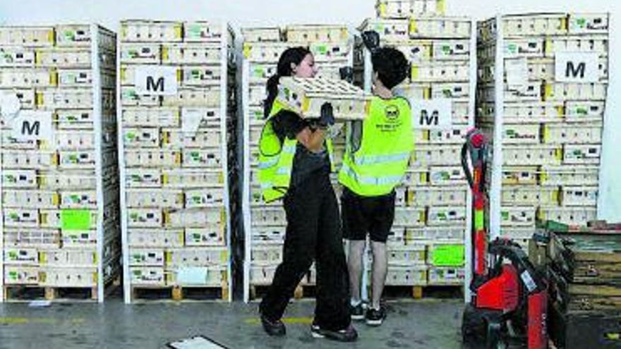 Food banks ask for help against food poverty
