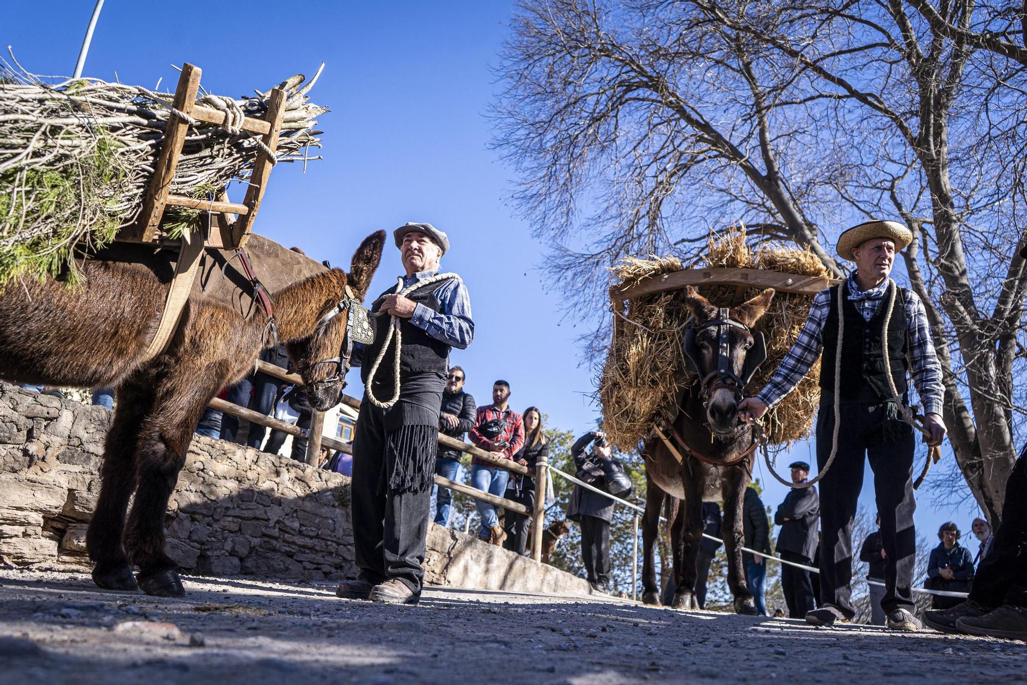 Troba't a les imatges de la Festa dels Traginers 2024