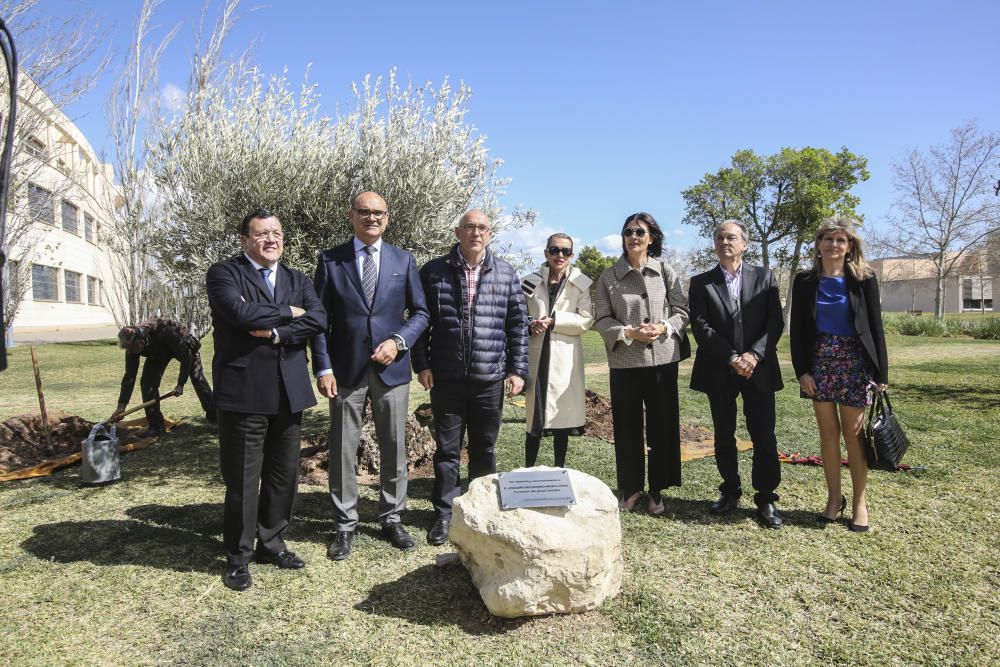 El fundador de Vectalia, Joaquín Arias, recibirá a la Mención Honorífica del Consejo Social de la UA a título póstumo