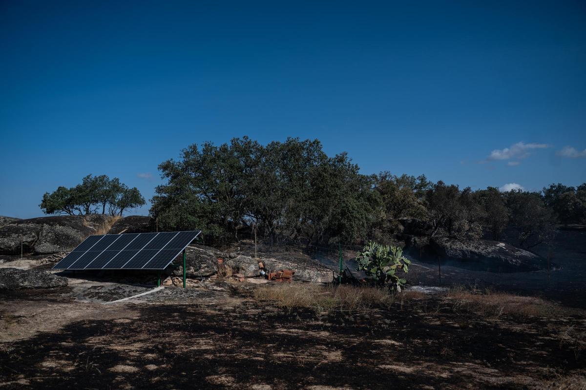 Galería | Las Viñas de Arroyo de la Luz, el día después del incendio Galería | Las Viñas de Arroyo de la Luz, el día después del incendio