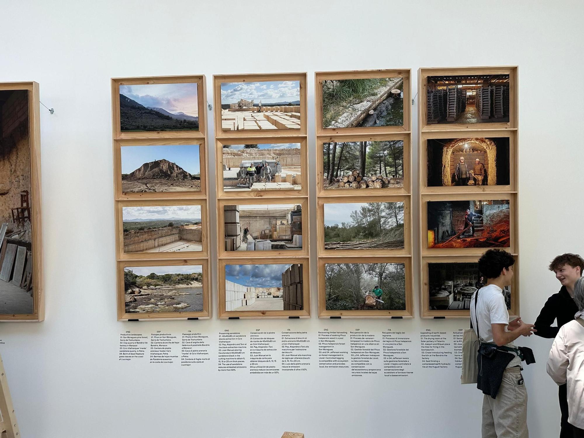 Las imágenes de la arquitectura mallorquina en la preapertura de la Bienal de Venecia