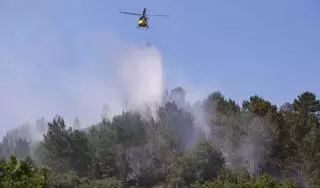 Un incendio que pasó de un galpón al monte, primer susto del verano en Ourense