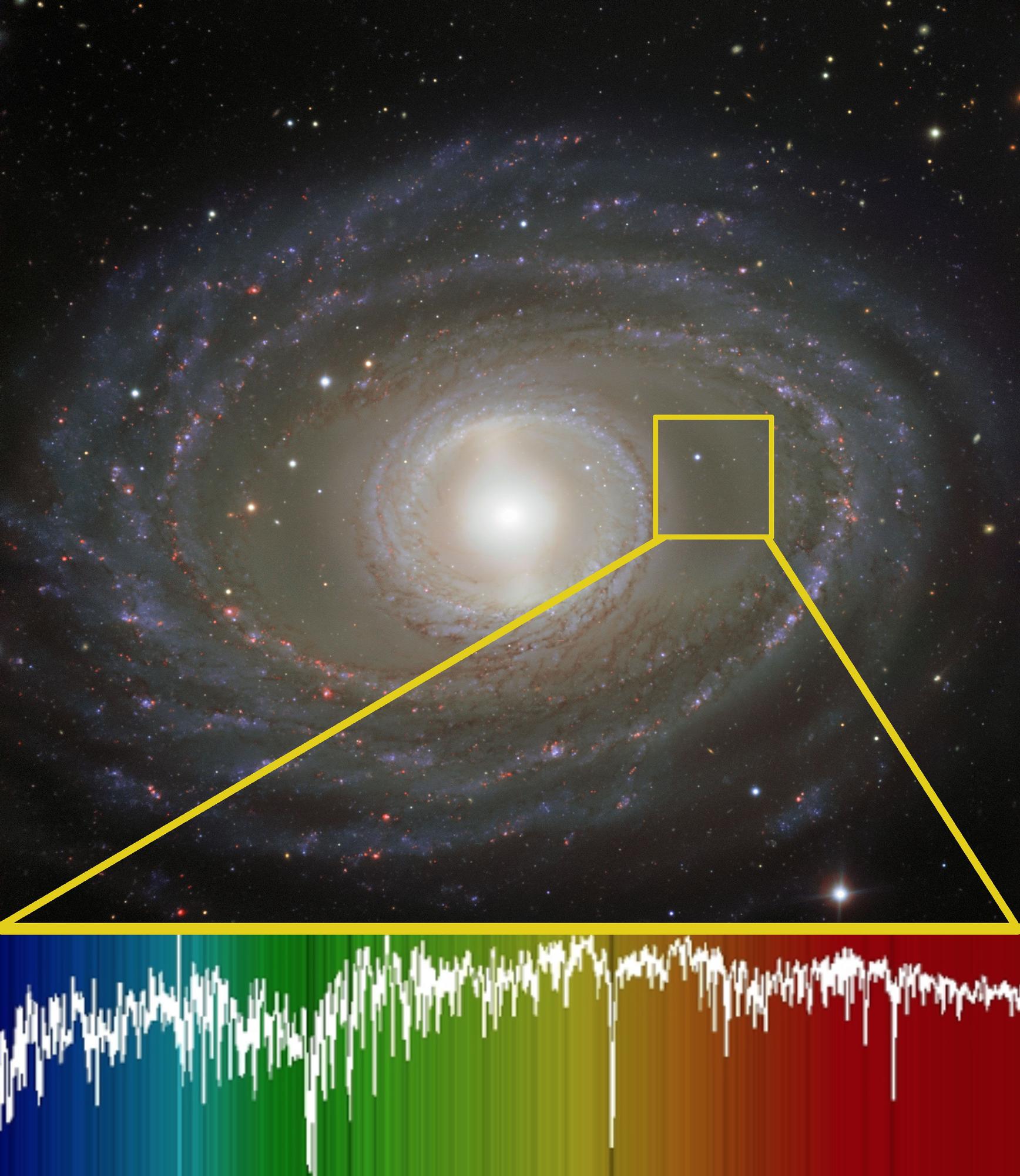 Ilustración de la descomposición de la luz de una galaxia en un arcoíris (espectro) que contiene información sobre sus propiedades físicas: composición química, edad o movimiento, entre otros. La galaxia es NGC1398, mientras que el espectro es un modelo simple creado por ordenador. Las líneas oscuras son debidas a los diferentes tipos de estrellas que tiene la galaxia.