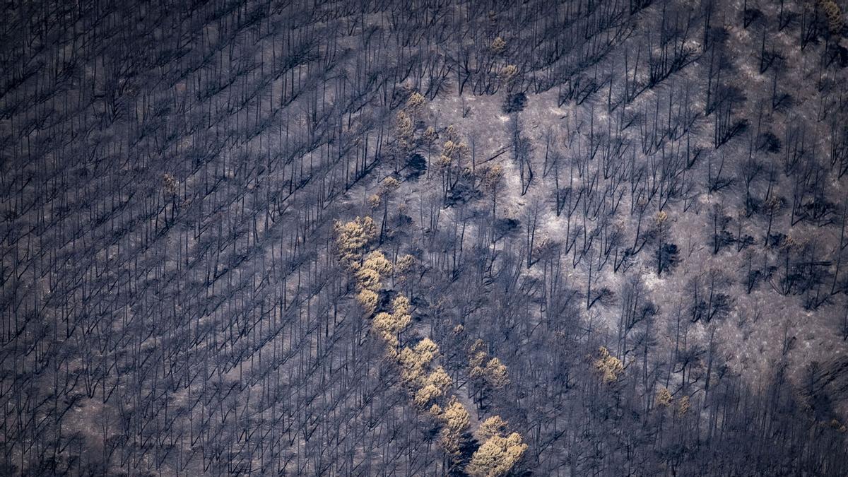 INCENDIOS DESDE EL AIRE | Así se ven las zonas quemadas por los incendios del centro de España desde el aire