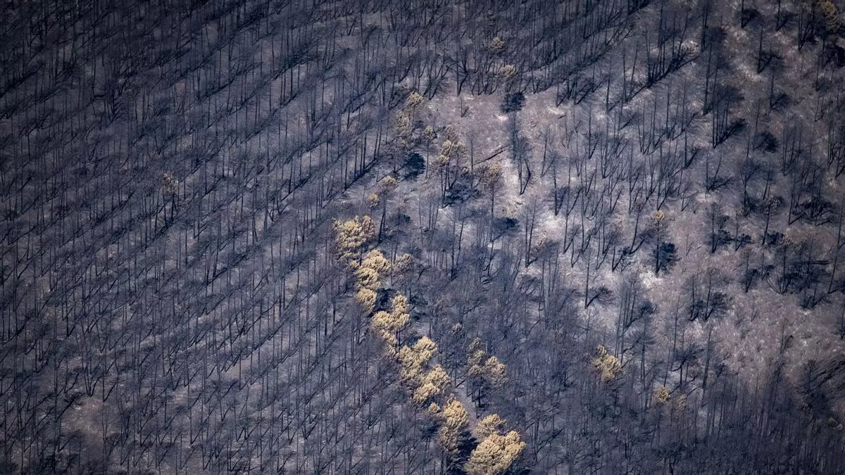 Así se ven las zonas quemadas por los incendios del centro de España desde el aire