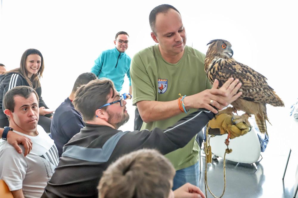 Aves rapaces forman parte de un programa educativo