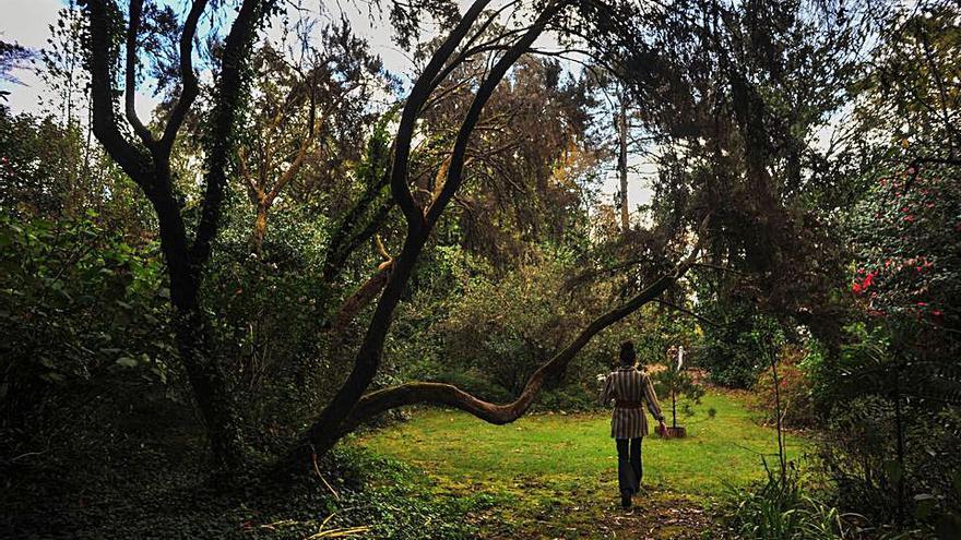 El milagro de la vida. Silvia Rodríguez Coladas vive en el pazo desde 2014, por lo que observa el jardín día tras día. Admite que al principio, “cuando se me moría una planta llevaba un disgusto enorme”. Pero pasado el tiempo, asumió que, “es ley de vida”. “Aquí todo es cambiante. Ves plantas que se mueren, pero quedas tranquila porque les ha dado tiempo a reproducirse. Aquí dentro ves el milagro de la vida”. | IÑAKI ABELLA