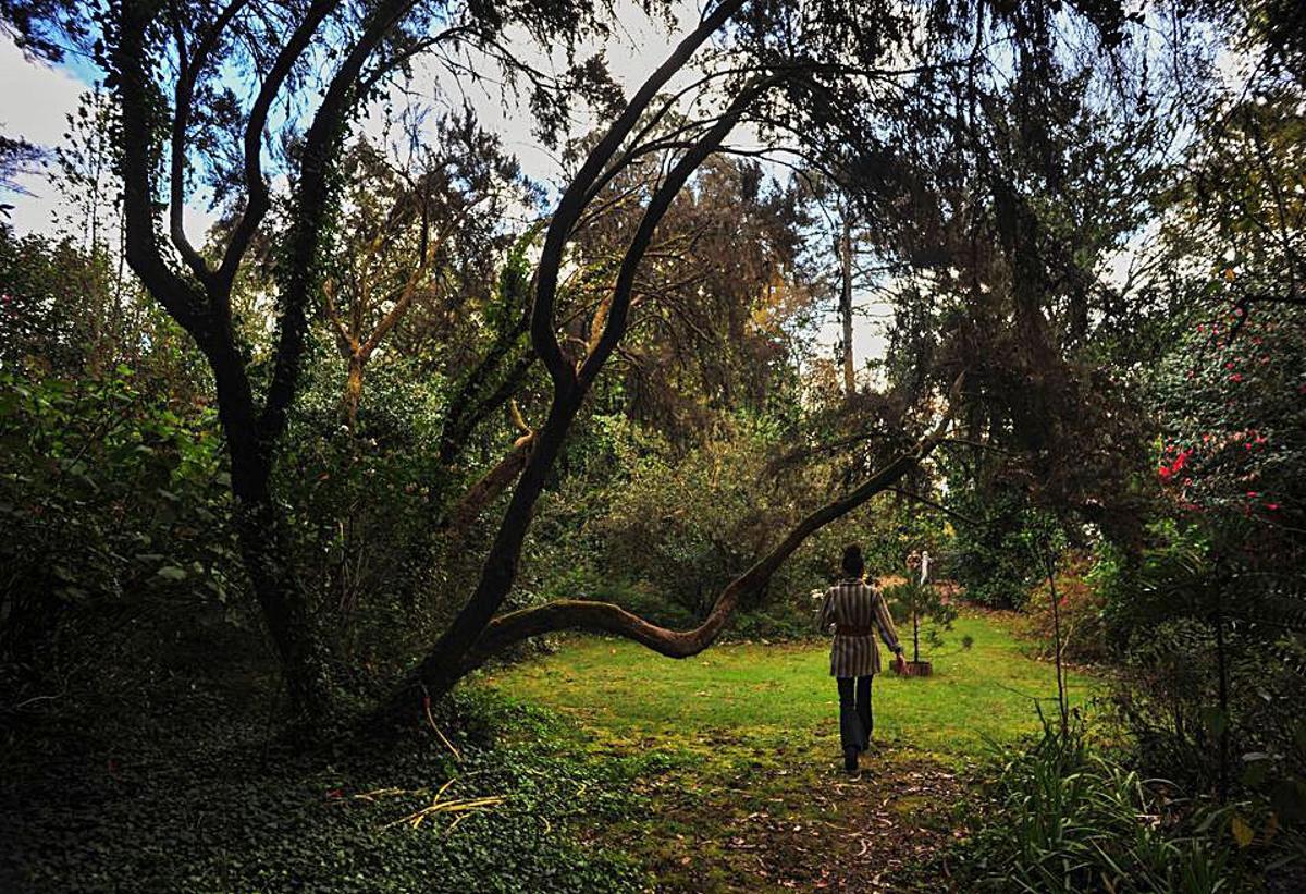 El milagro de la vida. Silvia Rodríguez Coladas vive en el pazo desde 2014, por lo que observa el jardín día tras día. Admite que al principio, “cuando se me moría una planta llevaba un disgusto enorme”. Pero pasado el tiempo, asumió que, “es ley de vida”. “Aquí todo es cambiante. Ves plantas que se mueren, pero quedas tranquila porque les ha dado tiempo a reproducirse. Aquí dentro ves el milagro de la vida”. | IÑAKI ABELLA